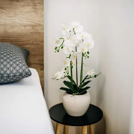 Wanda Appartement *