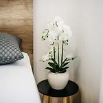 Wanda Apartman *